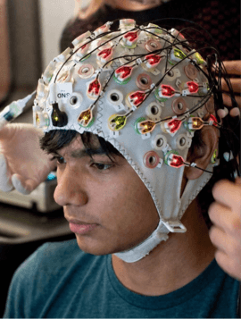 Neural Systems Laboratory — brain circuit mapping and torpor induction research facility